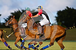 Male Polo Player