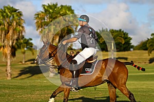 Male Polo Player