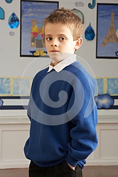 Male Primary School Pupil Standing In Classroom