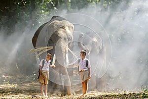 Male primary school student In the countryside of Thailand Walking with an elephant While they go to school