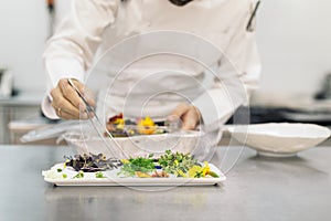 Male professional chef cooking.