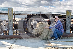 Male rancher in a farm