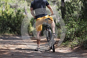 Male rents bike for ride, forest landscape, path for journey, adventure time