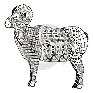 Male rocky mountain bighorn sheep ram standing zentangle stylize