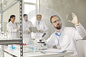 Male scientist analyzing test sample glass slide working at busy laboratory