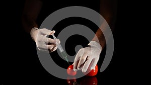 Male scientist hands with syringe injecting substance into tomato