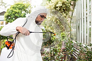 Male scientist spraying pesticides on plants