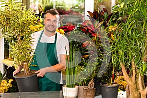 Male shop assistant potted plant flower working