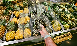 Male shopping choose pineapple ananas fruit