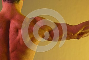 Male shoulder muscle yellow