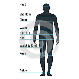 Male size chart anatomy human character, people dummy front and view side body silhouette, isolated on white, flat vector