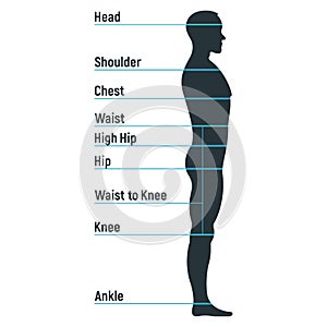 Male size chart anatomy human character, people dummy front and view side body silhouette, isolated on white, flat vector