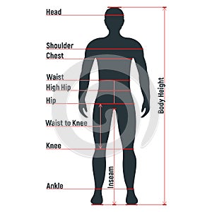 Male size chart anatomy human character, people dummy front and view side body silhouette, isolated on white, flat vector