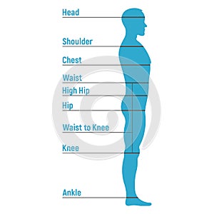 Male size chart anatomy human character, people dummy front and view side body silhouette, isolated on white, flat vector