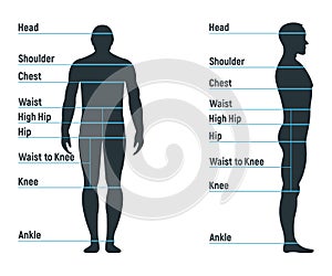 Male size chart anatomy human character, people dummy front and view side body silhouette, isolated on white, flat vector