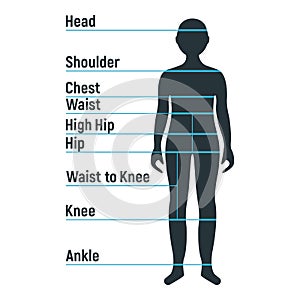 Male size chart anatomy human character, people dummy front and view side body silhouette, isolated on white, flat vector