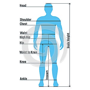 Male size chart anatomy human character, people dummy front and view side body silhouette, isolated on white, flat vector