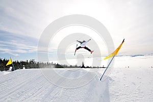 Male Skier Catches Big Air. photo