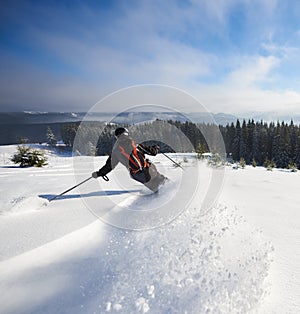 Male skier freeriding on wide open mountain slope. Extremal skiing down between low fir trees. Panoramic mountain view.