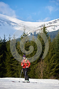 Male skier on skis on background of spruce trees and snowy mountain peak on frosty sunny winter day.