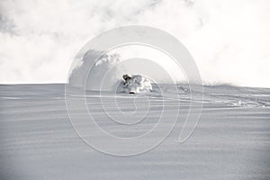 Male on a snowboard glides on a snowy mountain slope