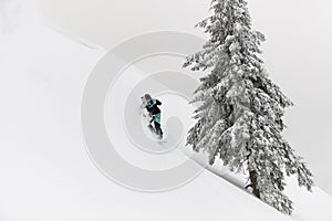 male snowboarder fast sliding down snow covered slope among fir tree.