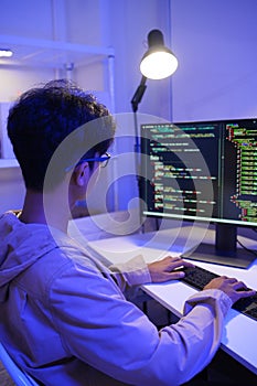 Development programmer working in website a software and coding technology