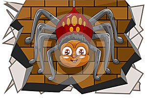 A male spider cute hanging on the wall, design animal cartoon vector illustration