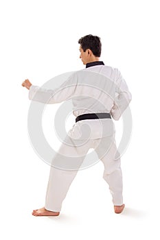 Male taekwondo stance full length rear view