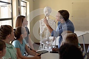Male teacher using a model of a human skeleton to teach