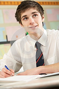 Male Teenage Student In Classroom