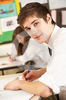 Male Teenage Student Studying