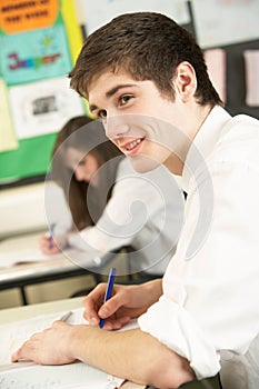 Male Teenage Student Studying