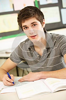 Male Teenage Student Studying