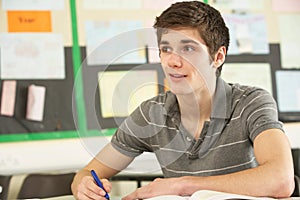 Male Teenage Student Studying
