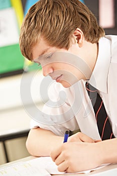 Male Teenage Student Studying