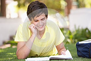 Male Teenage Student Studying In Park