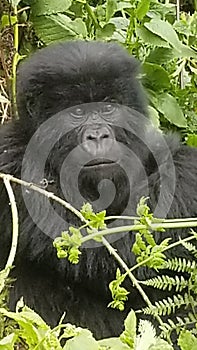 A Male teenager looking cute and getting his photo taken