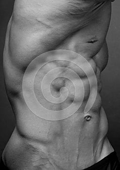 Male torso