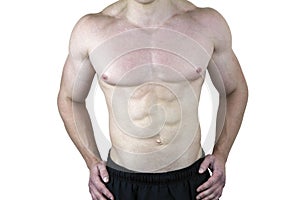 Male Torso