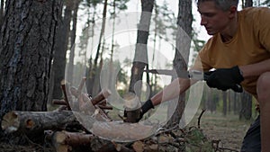 male tourist cuts log with hand saw in evening in forest. traveler preparing firewood for campfire. man in wild. hiker