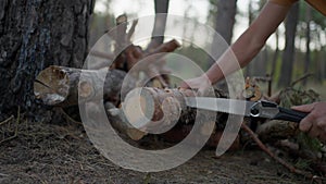 male tourist cuts log with hand saw in evening in forest. traveler preparing firewood for campfire. man in wild. hiker