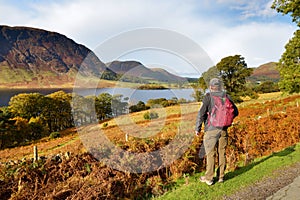 Male tourist enjoying the view of Crummock Water lake, located between Loweswater and Buttermere, in the Lake District in Cumbria