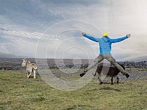 Male tourist is trying to get attention of a donkey in a field by jumping high. Rough stone terrain in the background. Aran island