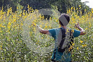 Male tourists walk into the Sunn hemp flower or Crotalaria juncea.