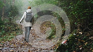 Male traveler walking along fog forest, leisure, bio-tourism, hiking