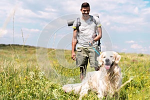 male traveler walking with golden retriever dog on summer meadow