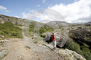 Male traveller