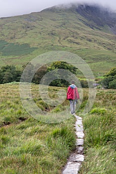 Male trekker walks along a path