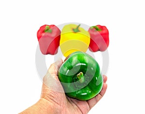Male use left hand holding fresh green select from group red yellow sweet peeper or bell pepper vegetable background. Isolated on